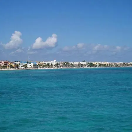 Complex Lemon Grove Kávos