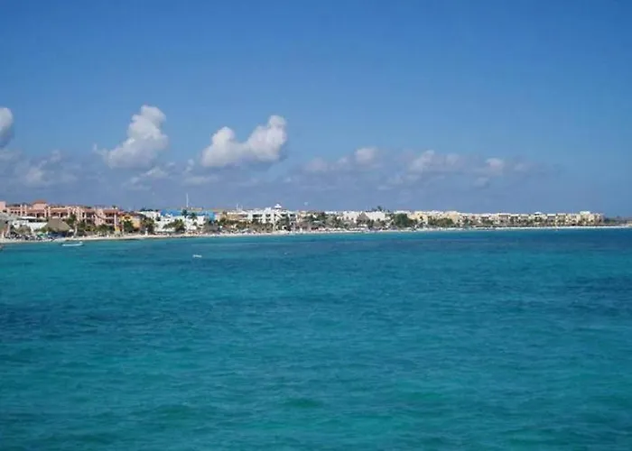 Complex Lemon Grove Kávos